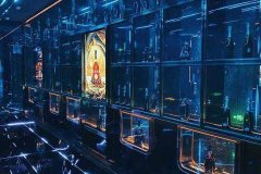 上海生意好夜场招聘不像您索取任何费用