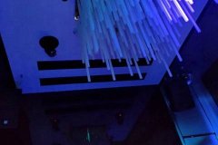 三亚夜场招聘酒水促销,报销机票提供住宿