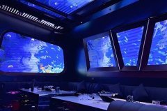 上海夜总会招聘模特/歌手,酒促岗位,邀你携手共发展