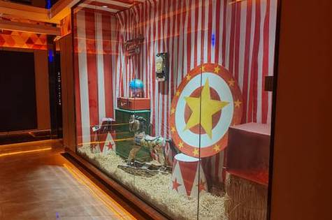 贵港夜场招聘礼仪,贵港高端KTV,携手共前行攀登职场高峰