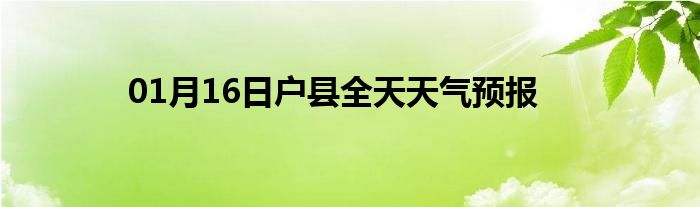 01月16日户县全天天气预报